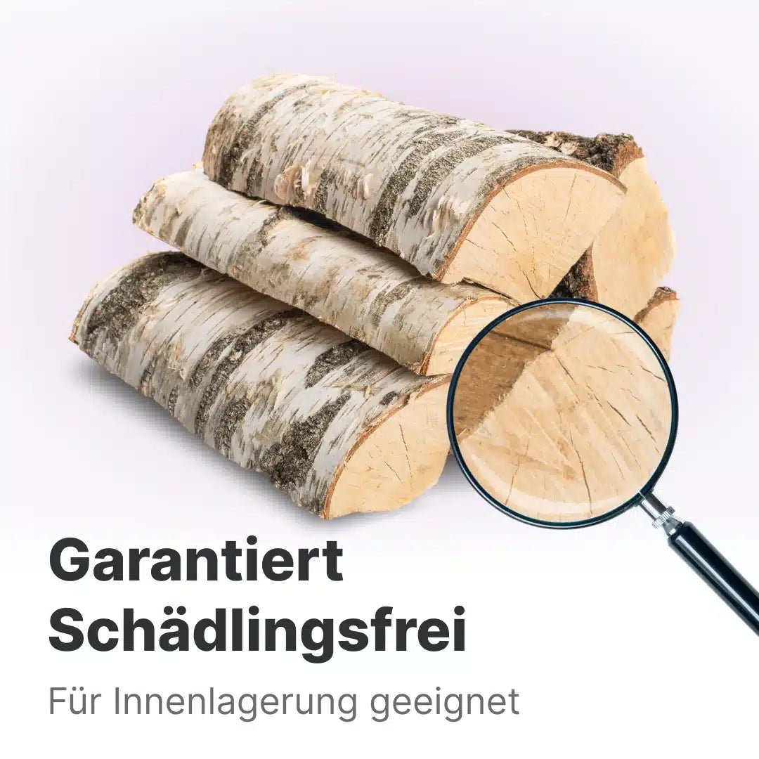 Kaminholz Birke kammergetrocknet | 1 RM