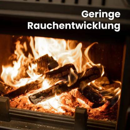 Brennholz Birke kammergetrocknet | 2 RM