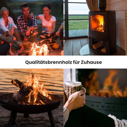 Kaminholz Birke kammergetrocknet | 1 RM